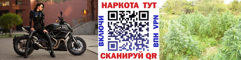 Где найти наркотики Серпухов Конопля  Alpha-PVP  АМФЕТАМИН  KRAKEN вход  МЕФ 
