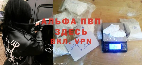 прущие грибы Абаза