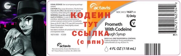 прущие грибы Абаза