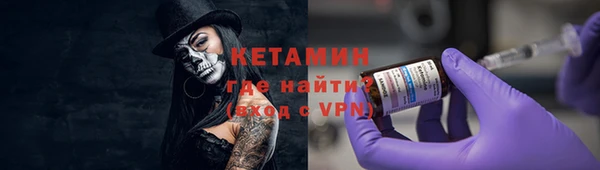 прущие грибы Абаза
