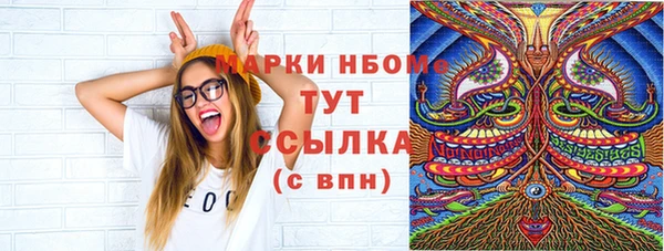 прущие грибы Абаза