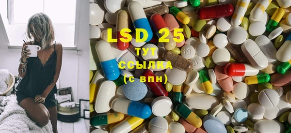 прущие грибы Абаза