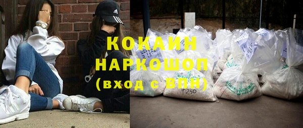 прущие грибы Абаза