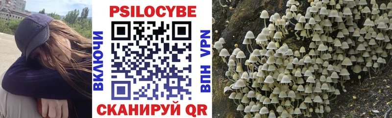 omg как зайти  Серпухов  Галлюциногенные грибы Psilocybine cubensis 